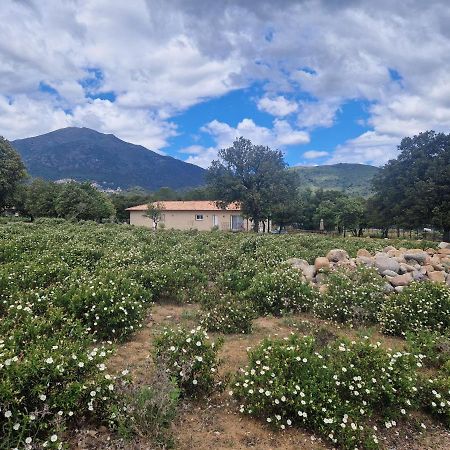 Domaine U Filanciu - Casa Ghjulia - Centru Di Corsica Vila Moltifao Exterior foto
